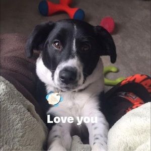 Meet your Posher, Tracy